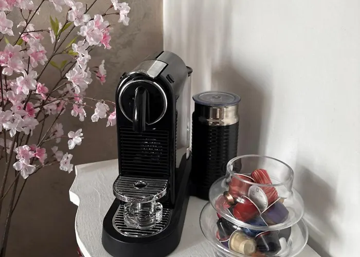 Viola Monte Felice *