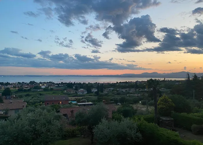 Viola Monte Felice * Bardolino